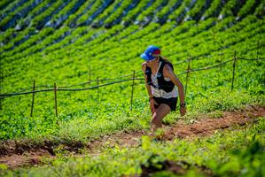 BIB: 2013
                            <button type="button" onclick="openModal(19162464)" class="btn btn-primary btn-sm float-right btn-popup" data-toggle="modal" data-target=".modal-high-quality">
                        <i class="fas fa-shopping-cart"></i> Add to Cart
                    </button>
                                            <button type="button" onclick="isThisMe(19162464, true)" class="btn btn-success btn-sm float-right btn-popup btn-isme hidden" data-toggle="tooltip" data-placement="bottom" title="นี่คือรูปของคุณใช่ไหม คลิกที่นี่เพื่อเอาเข้าอัลบั้ม">
                        <i class="fas fa-plus"></i> Add to album
                    </button>
                    <button type="button" onclick="isThisMe(19162464, false)" class="btn btn-warning btn-sm float-right btn-popup btn-isnotme hidden">
                        <i class="fas fa-ban"></i> Remove from album
                    </button>